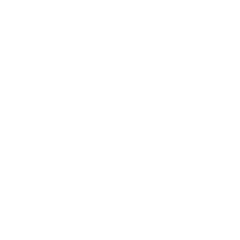 Veritas Data Solutions